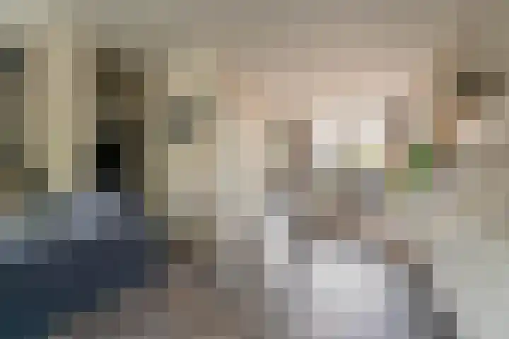 Paardebloem 16 Rijnsburg thumbnail 6