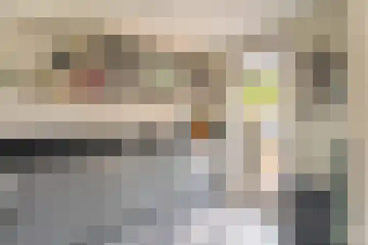 Paardebloem 16 Rijnsburg thumbnail 8