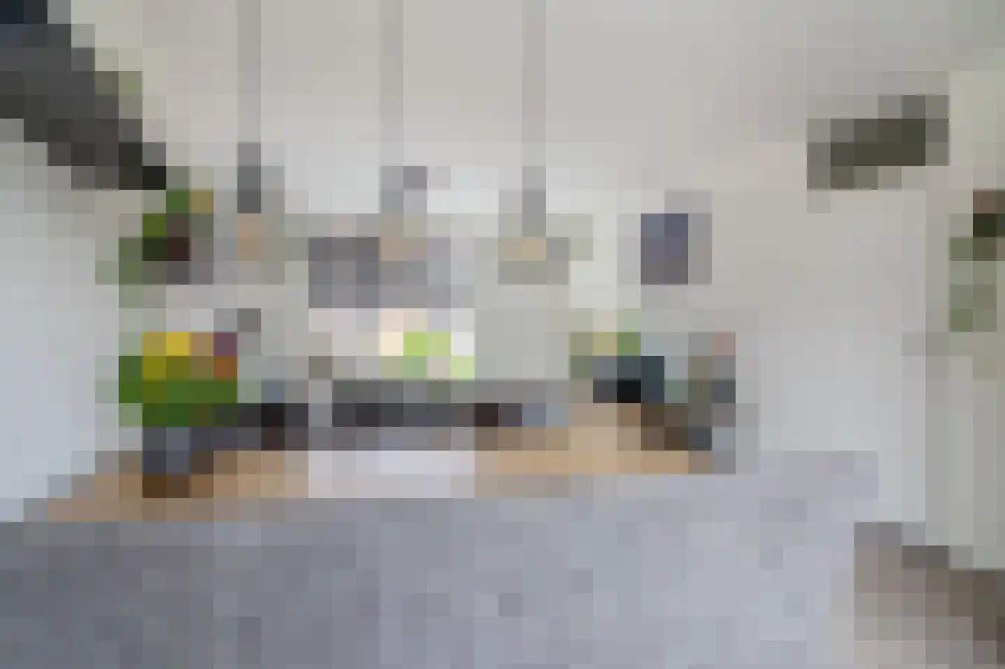 Paardebloem 18 Zwaag thumbnail 10