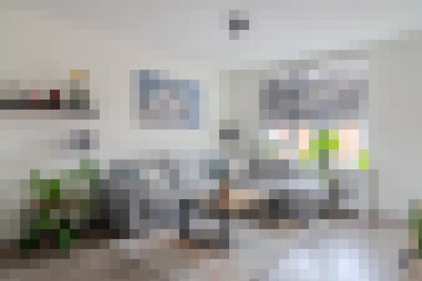 Paardebloem 18 Zwaag thumbnail 11