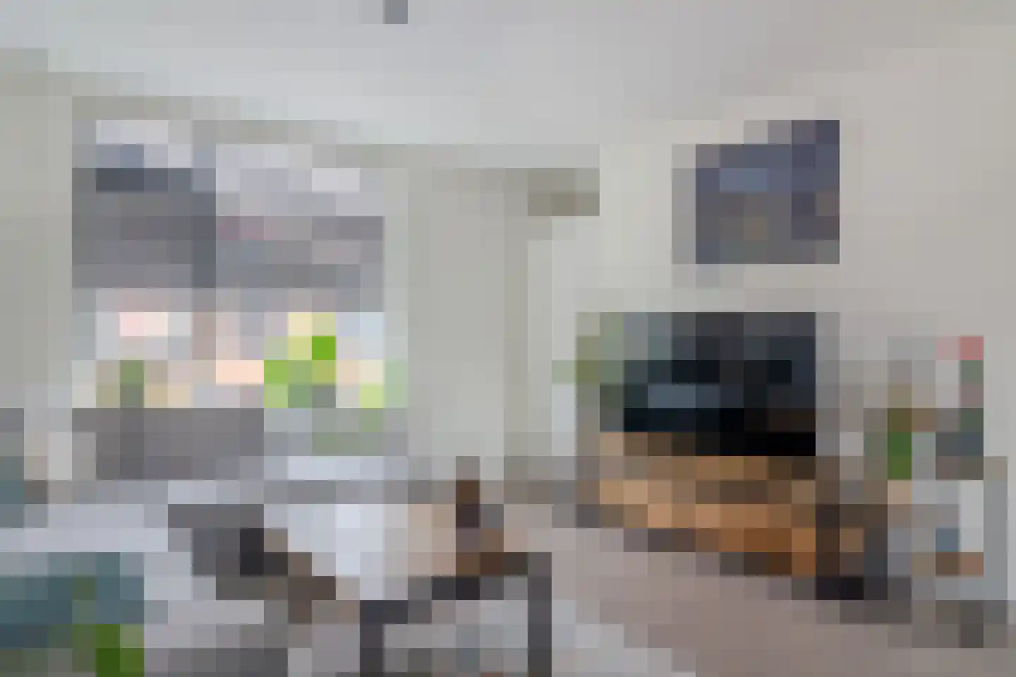 Paardebloem 18 Zwaag thumbnail 12