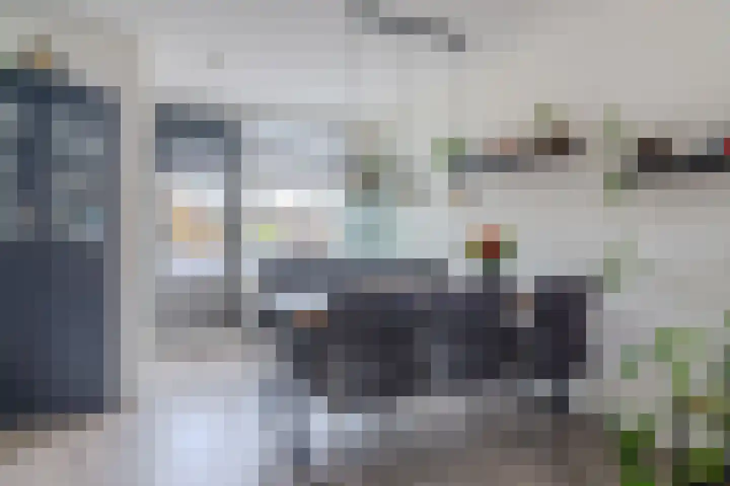 Paardebloem 18 Zwaag thumbnail 13