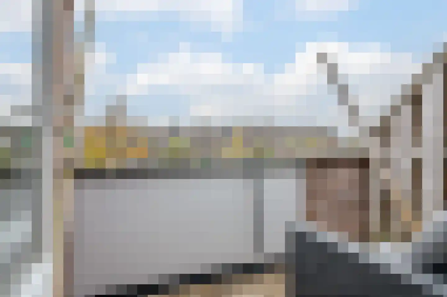Paardebloem 18 Zwaag thumbnail 15