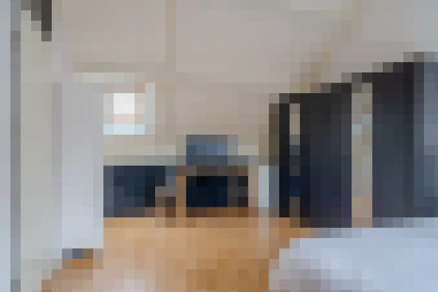 Paardebloem 18 Zwaag thumbnail 16