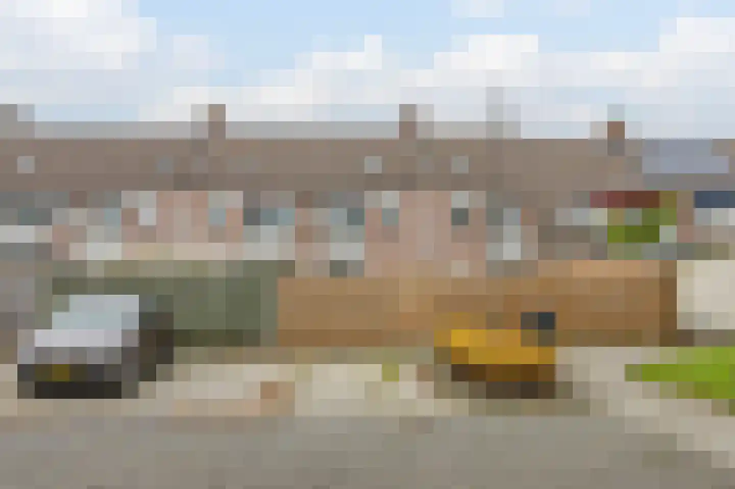 Paardebloem 18 Zwaag thumbnail 18