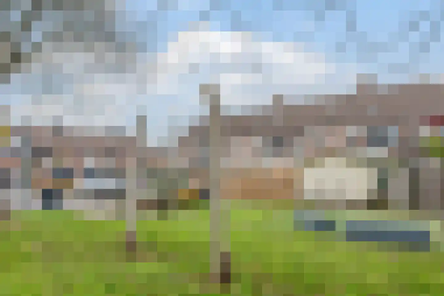 Paardebloem 18 Zwaag thumbnail 19
