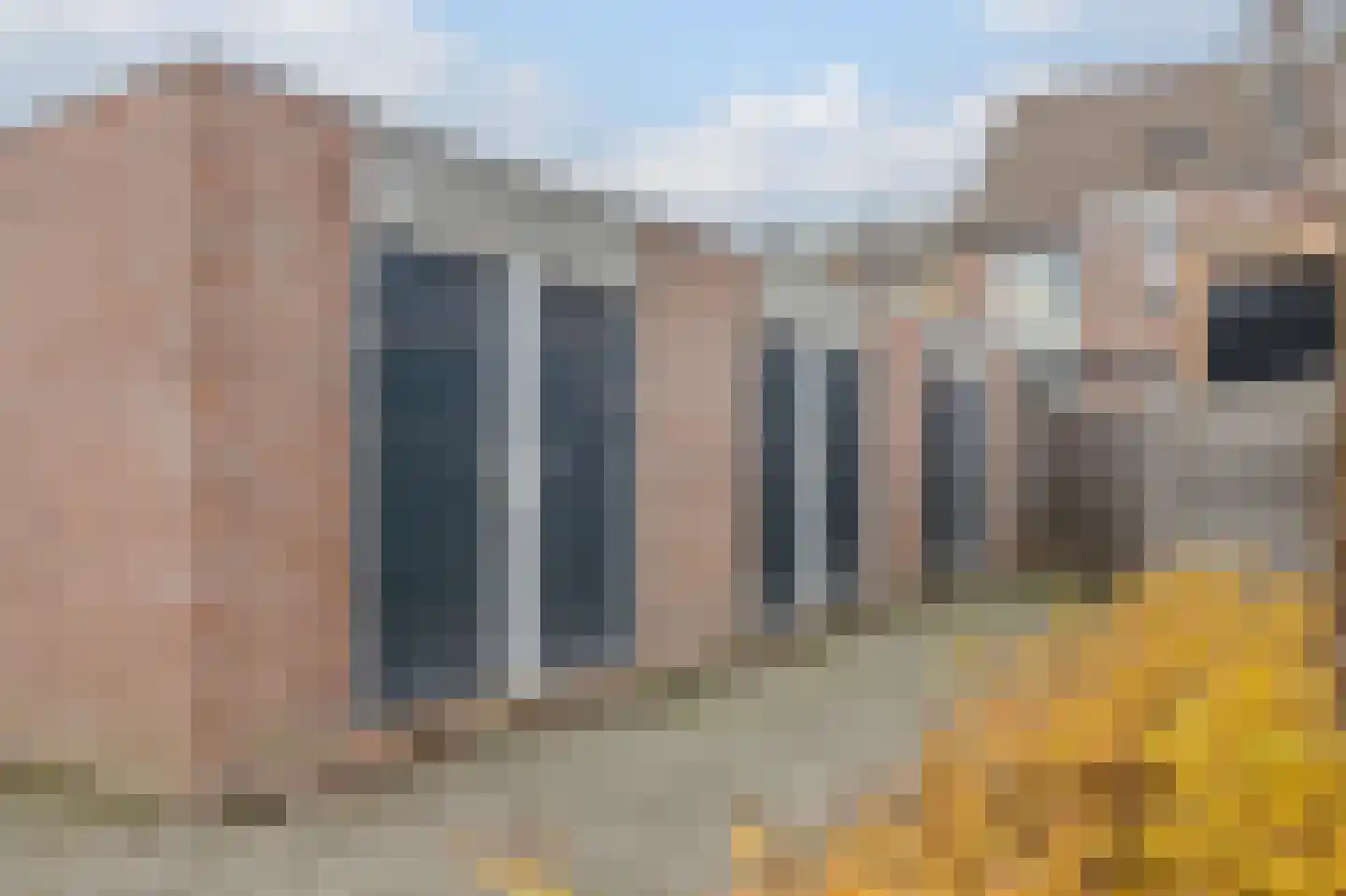 Paardebloem 18 Zwaag thumbnail 20