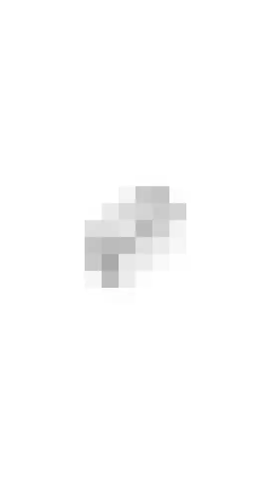 Paardebloem 18 Zwaag thumbnail 28