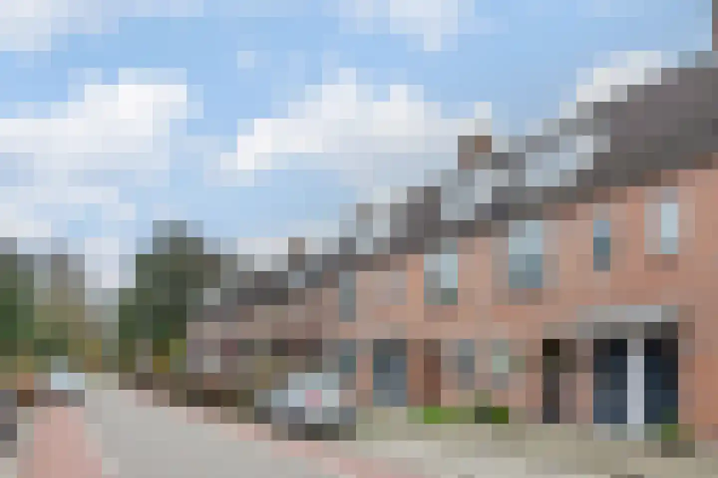 Paardebloem 18 Zwaag thumbnail 5