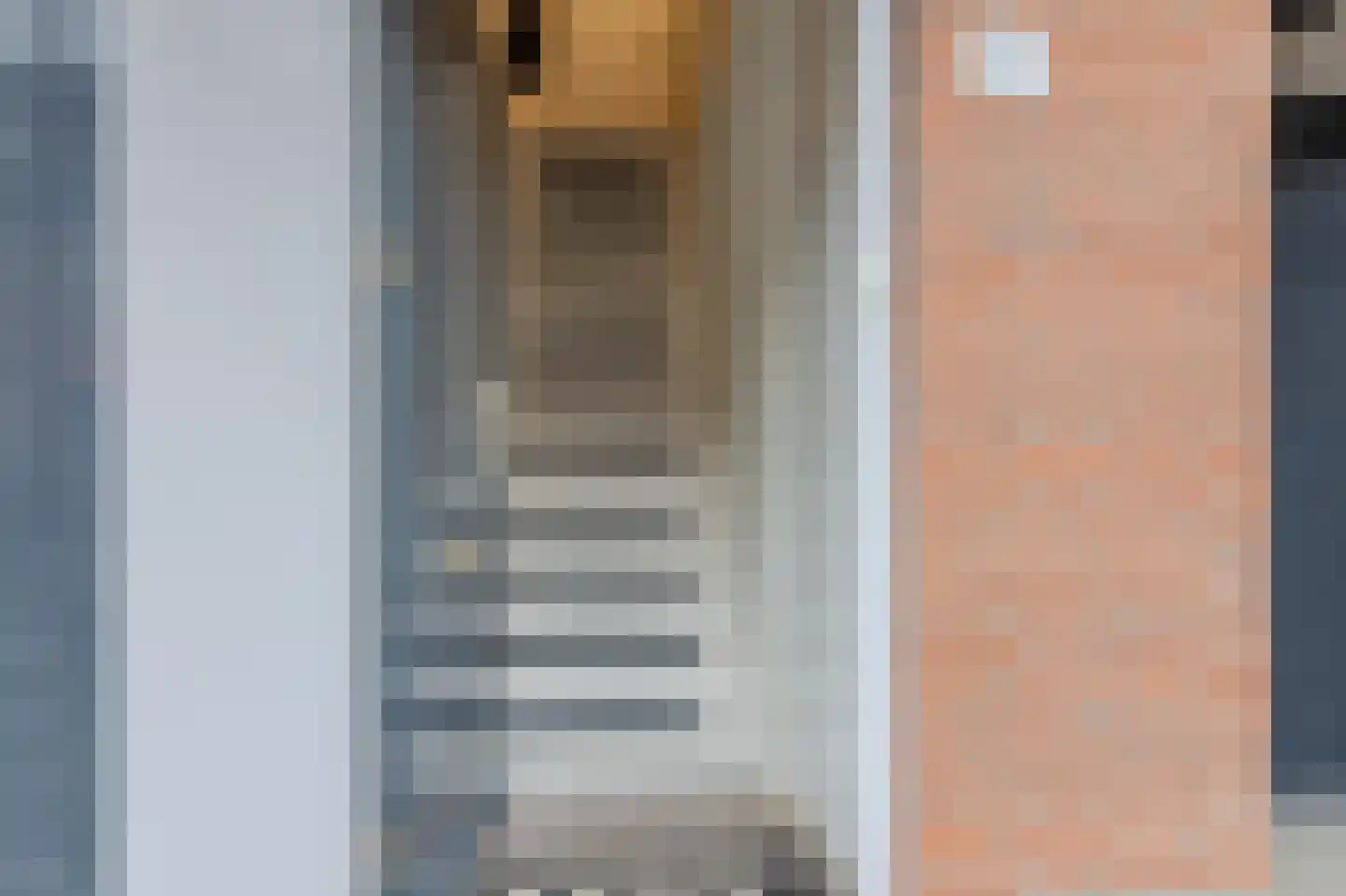 Paardebloem 18 Zwaag thumbnail 6