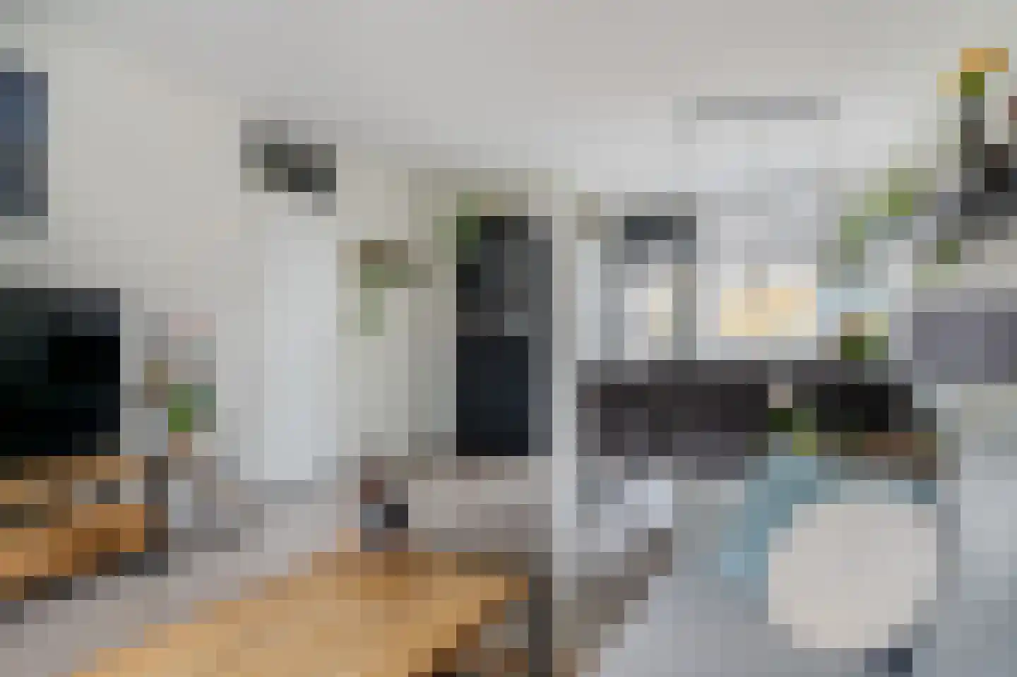 Paardebloem 18 Zwaag thumbnail 8