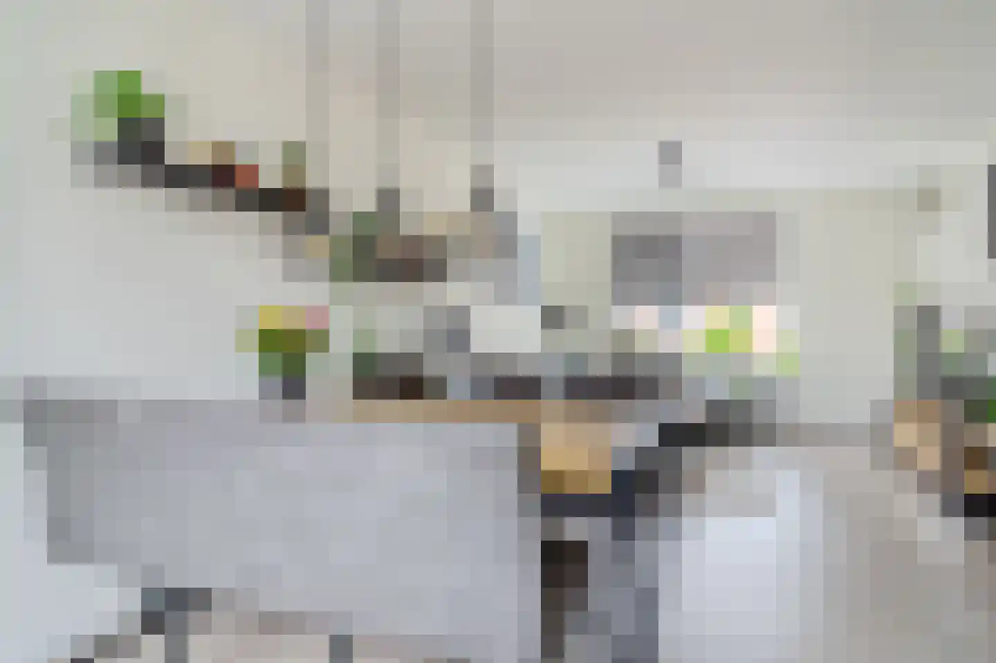 Paardebloem 18 Zwaag thumbnail 9