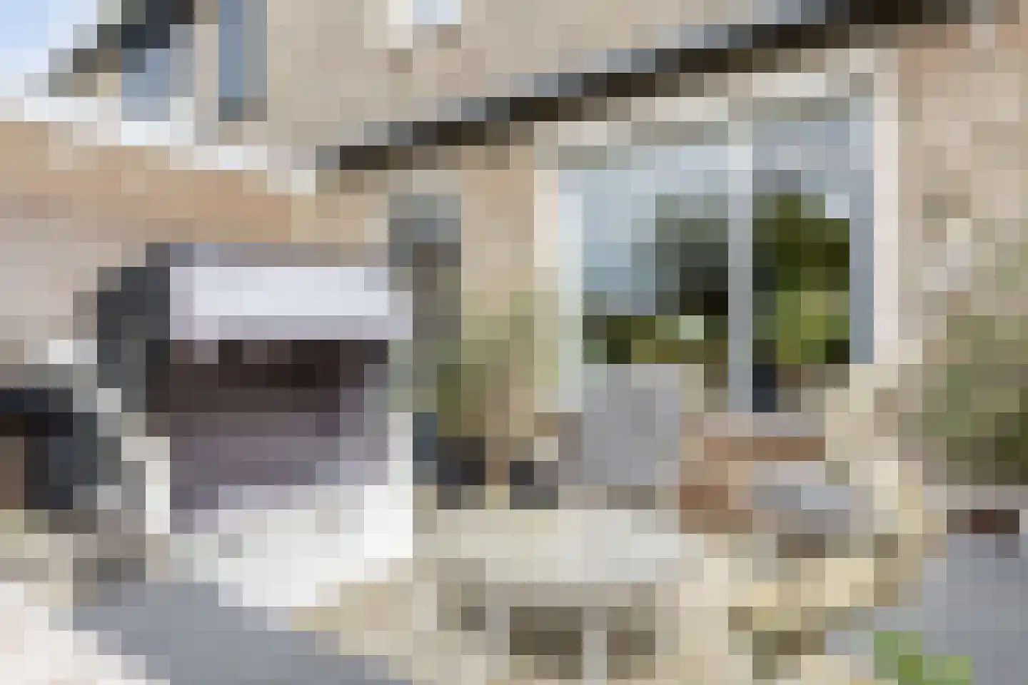 Paardebloem 19 Kampen thumbnail 21