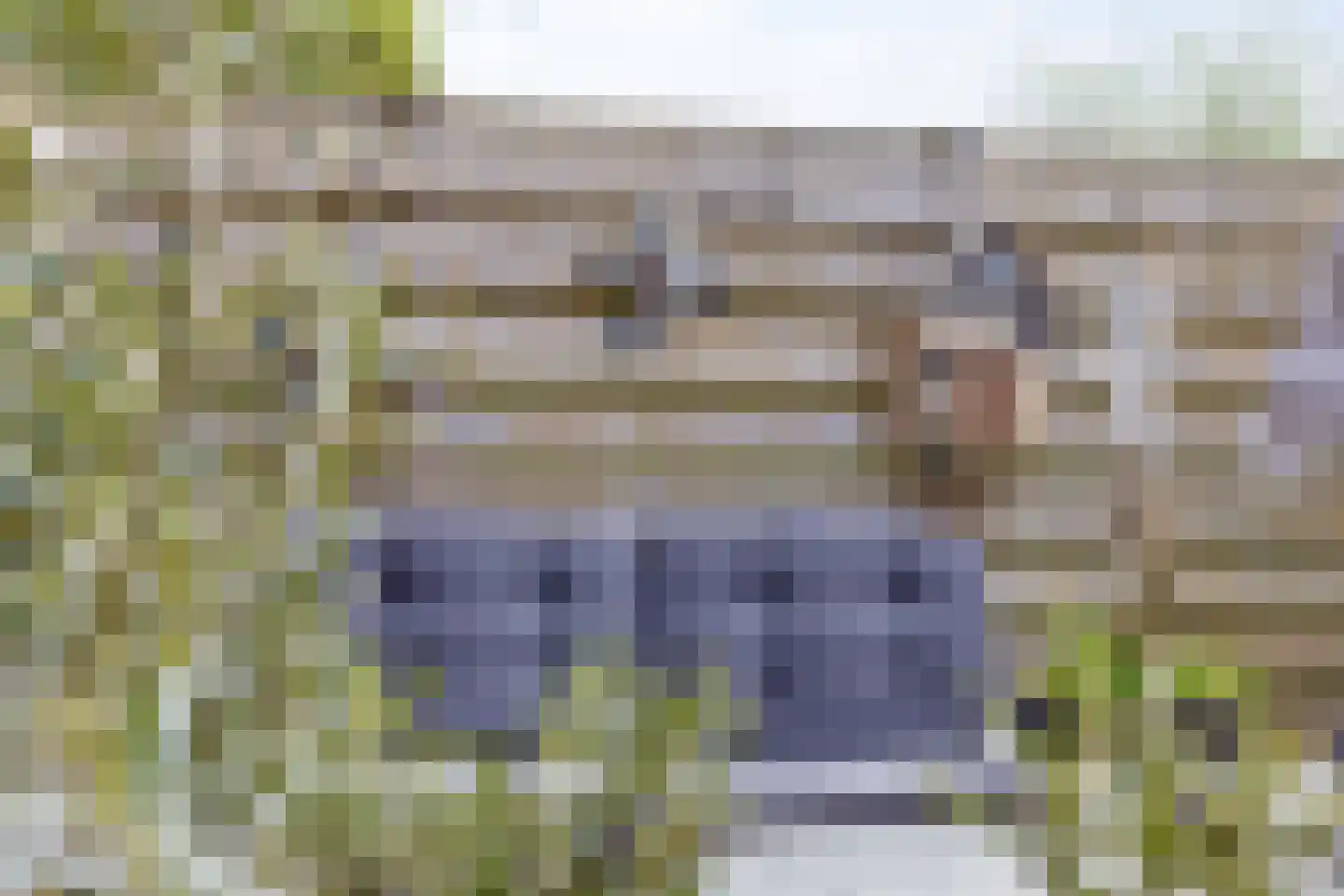 Paardebloem 19 Kampen thumbnail 22