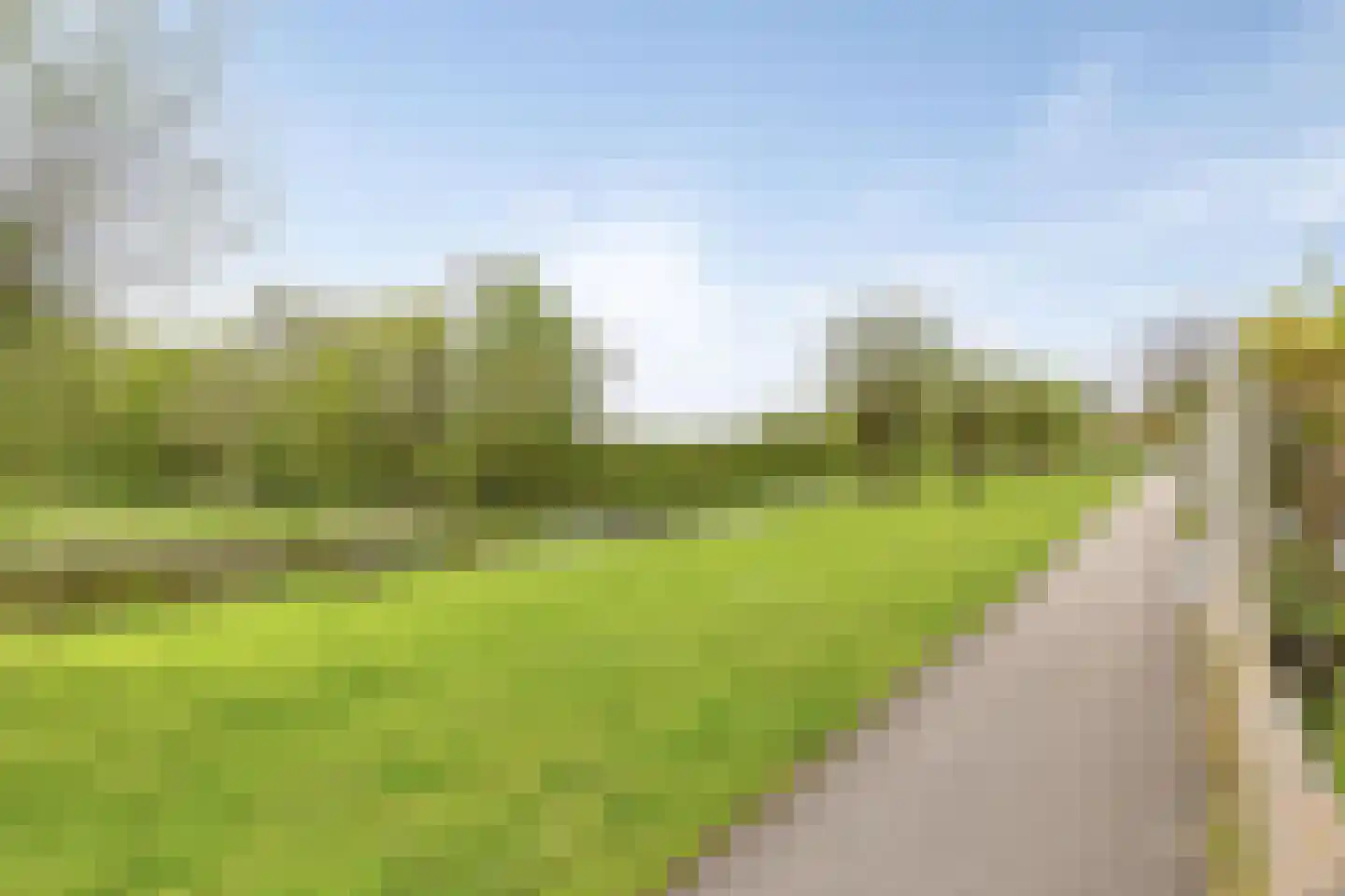 Paardebloem 19 Kampen thumbnail 25