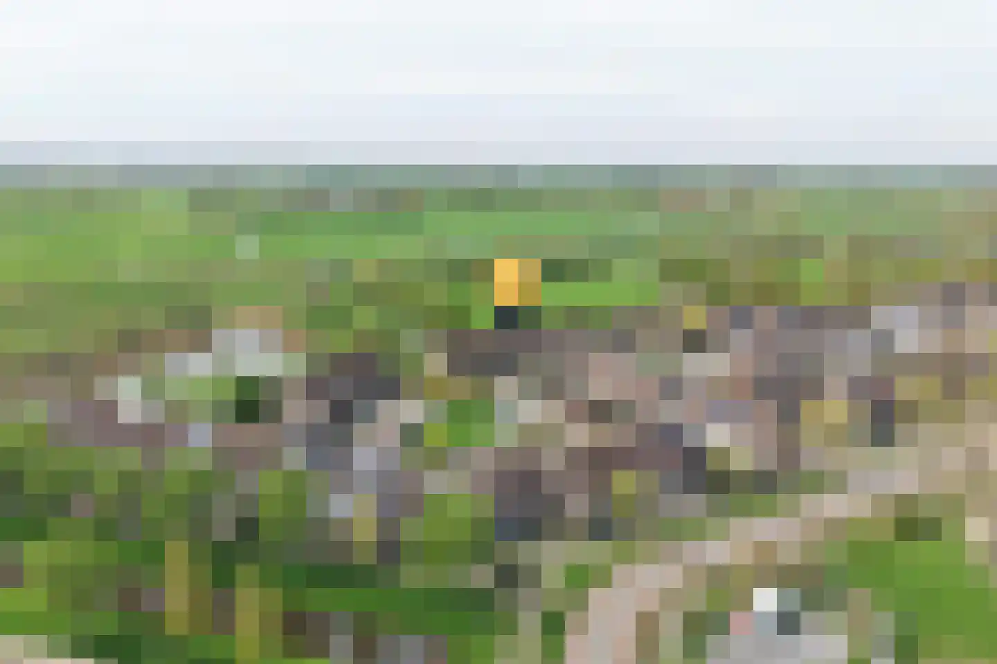 Paardebloem 19 Kampen thumbnail 27
