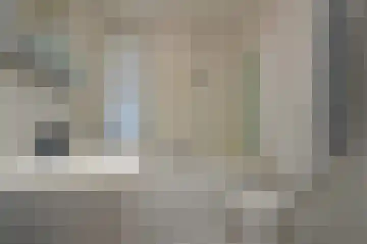 Paardebloem 2 Deurne thumbnail 17