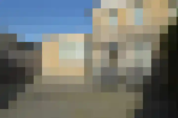 Paardebloem 2 Deurne thumbnail 22