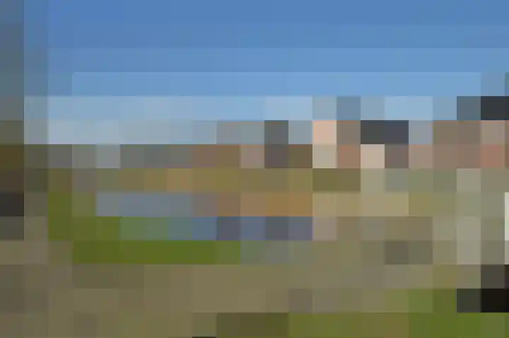 Paardebloem 2 Deurne thumbnail 24