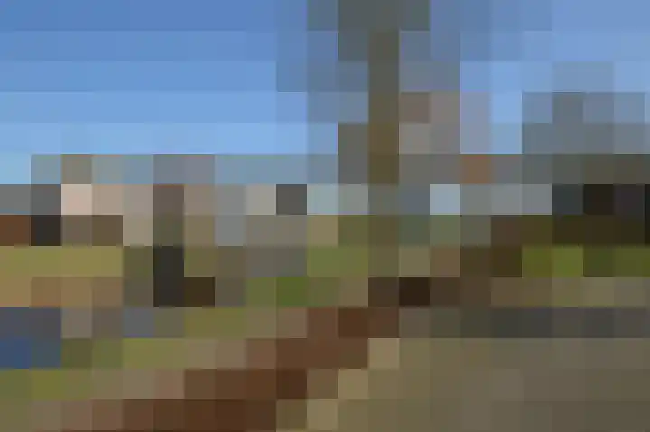 Paardebloem 2 Deurne thumbnail 25