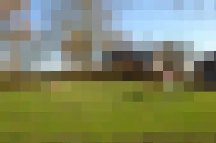 Paardebloem 2 Deurne thumbnail 26
