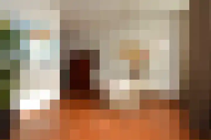 Paardebloem 2 Deurne thumbnail 6