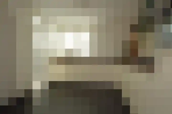 Paardebloem 2 Deurne thumbnail 8