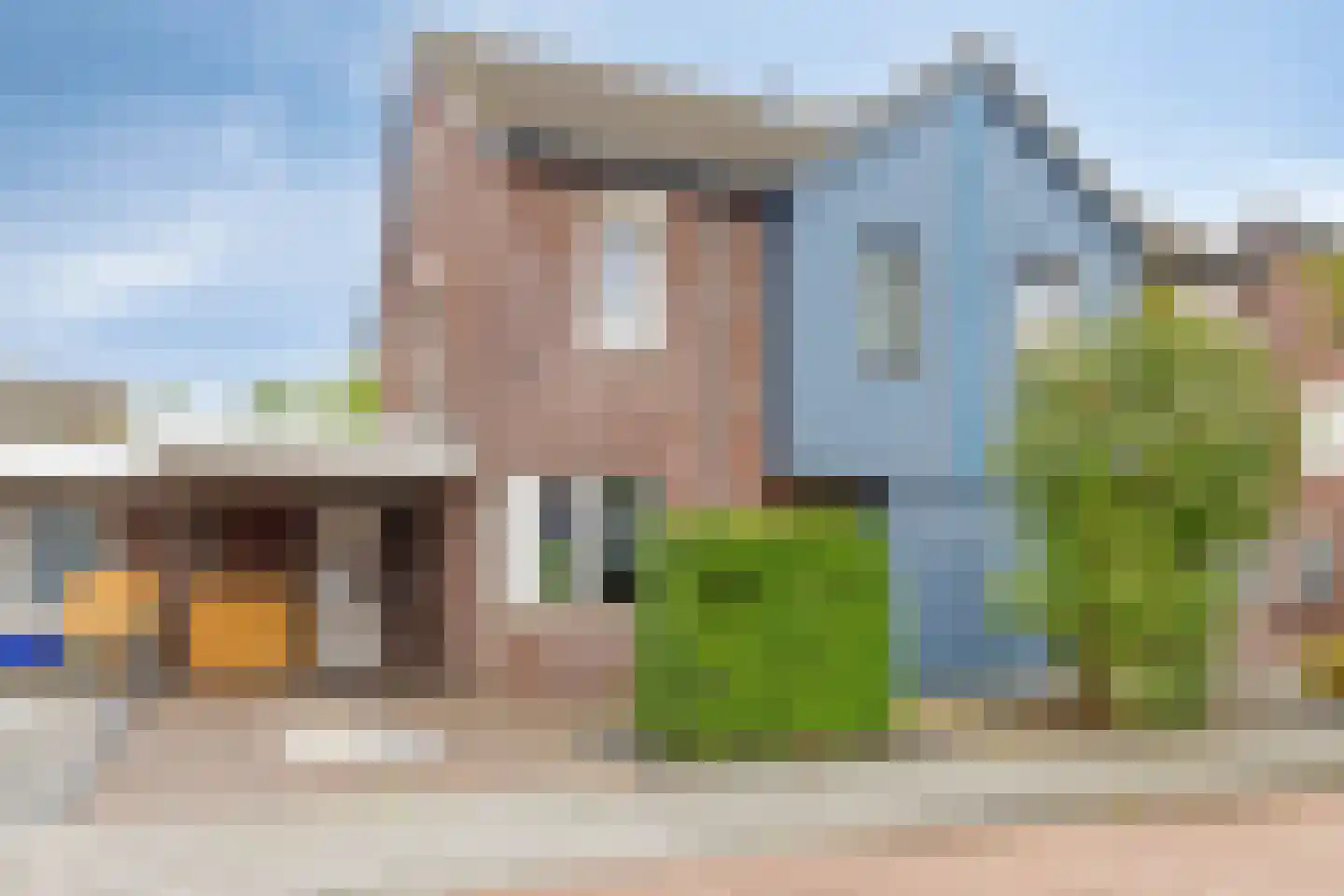 Paardebloem 20 Boekel