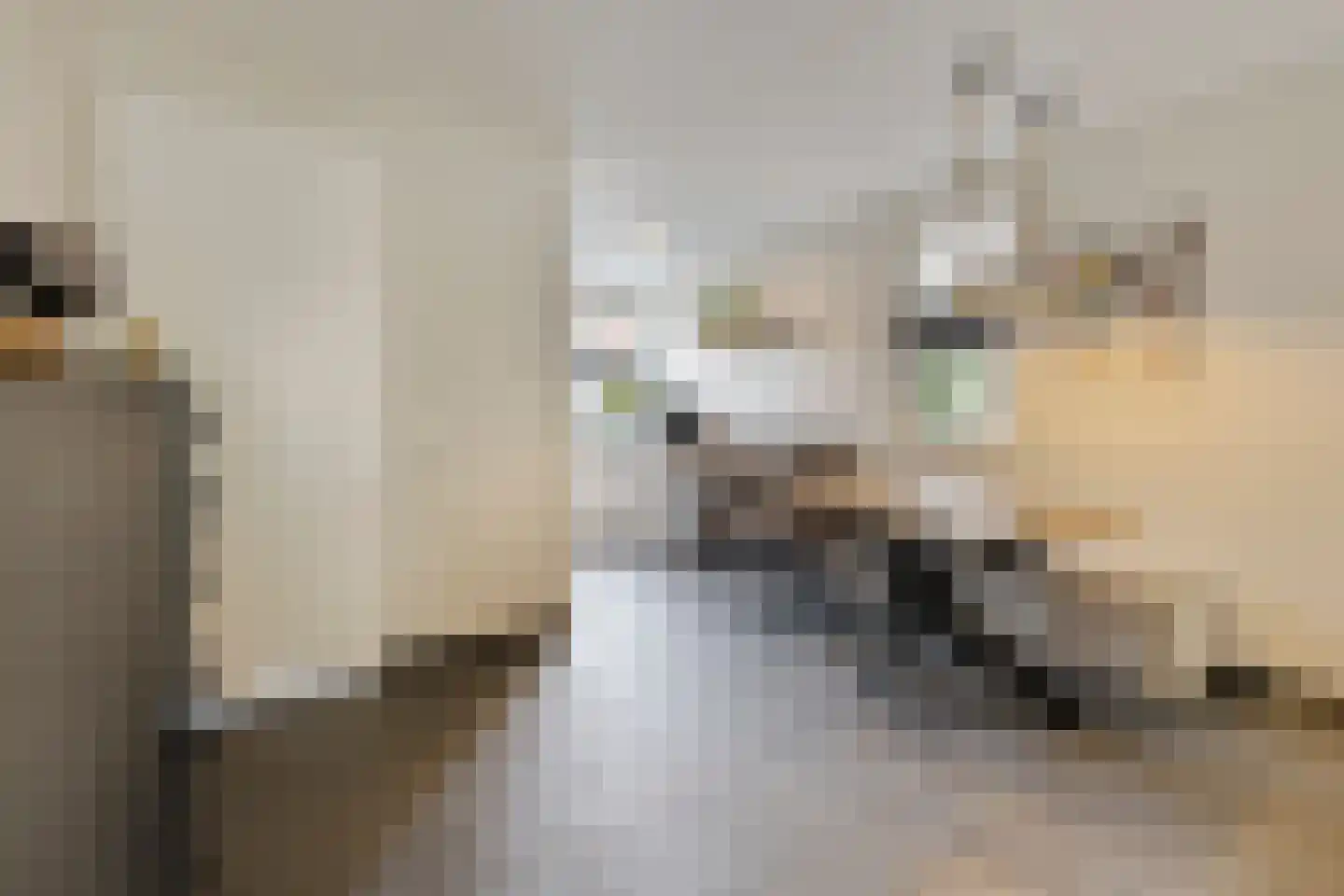 Paardebloem 20 Boekel thumbnail 10