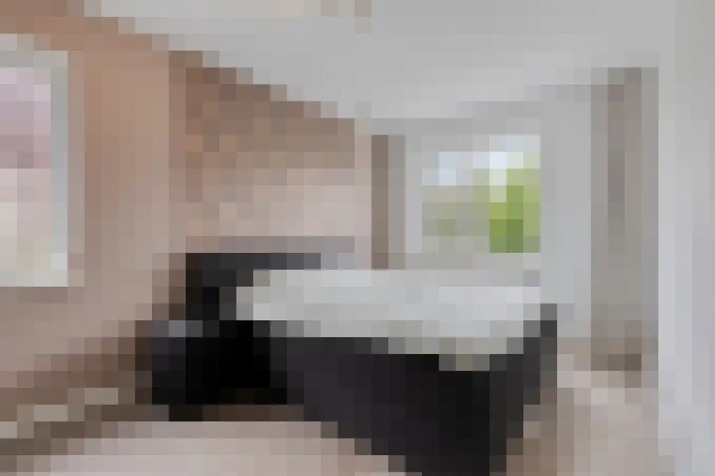 Paardebloem 20 Boekel thumbnail 14