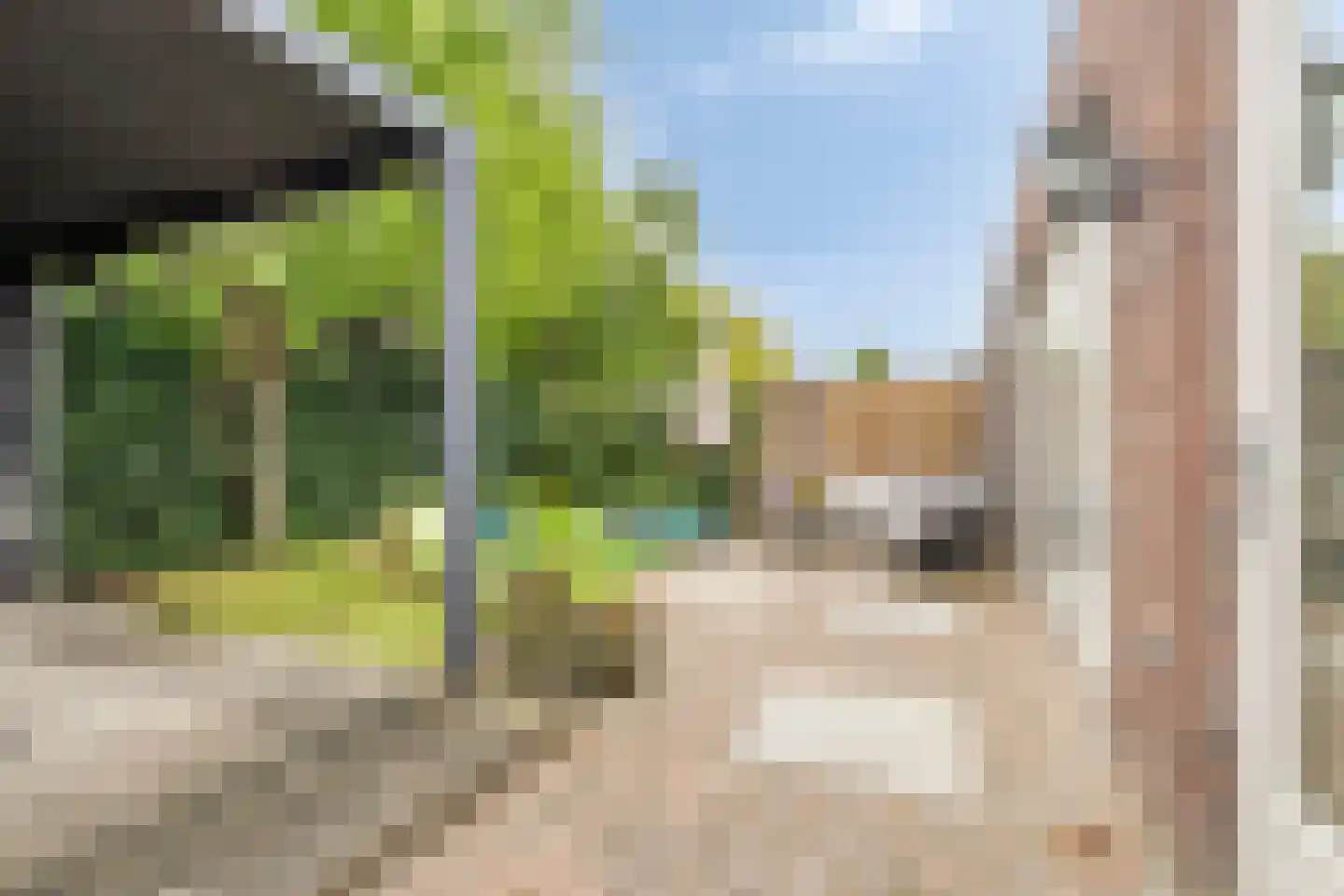 Paardebloem 20 Boekel thumbnail 27
