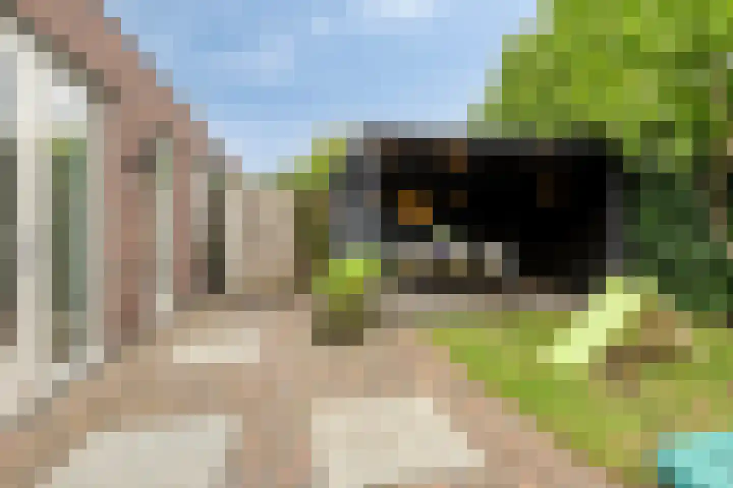 Paardebloem 20 Boekel thumbnail 28