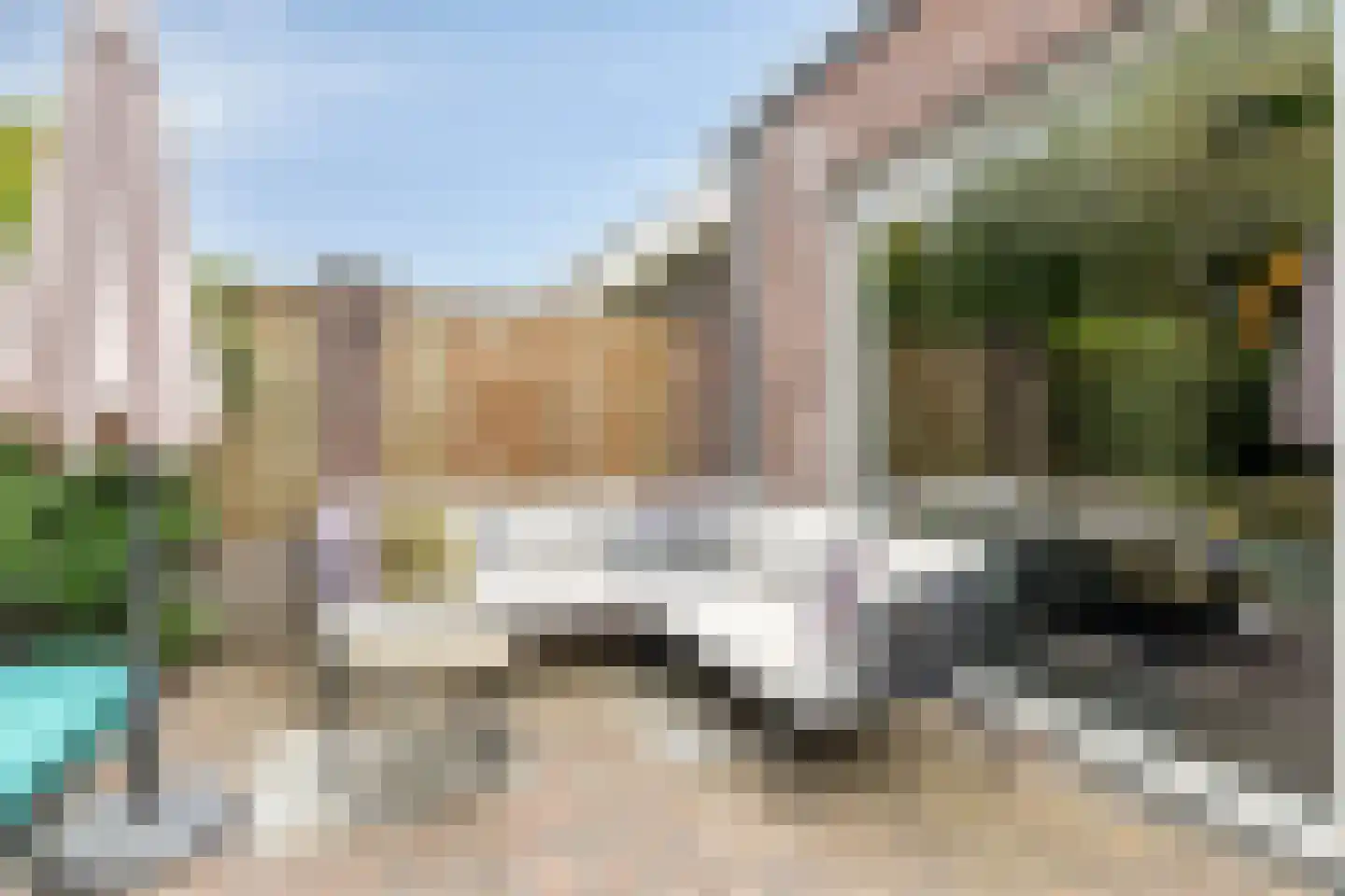 Paardebloem 20 Boekel thumbnail 30