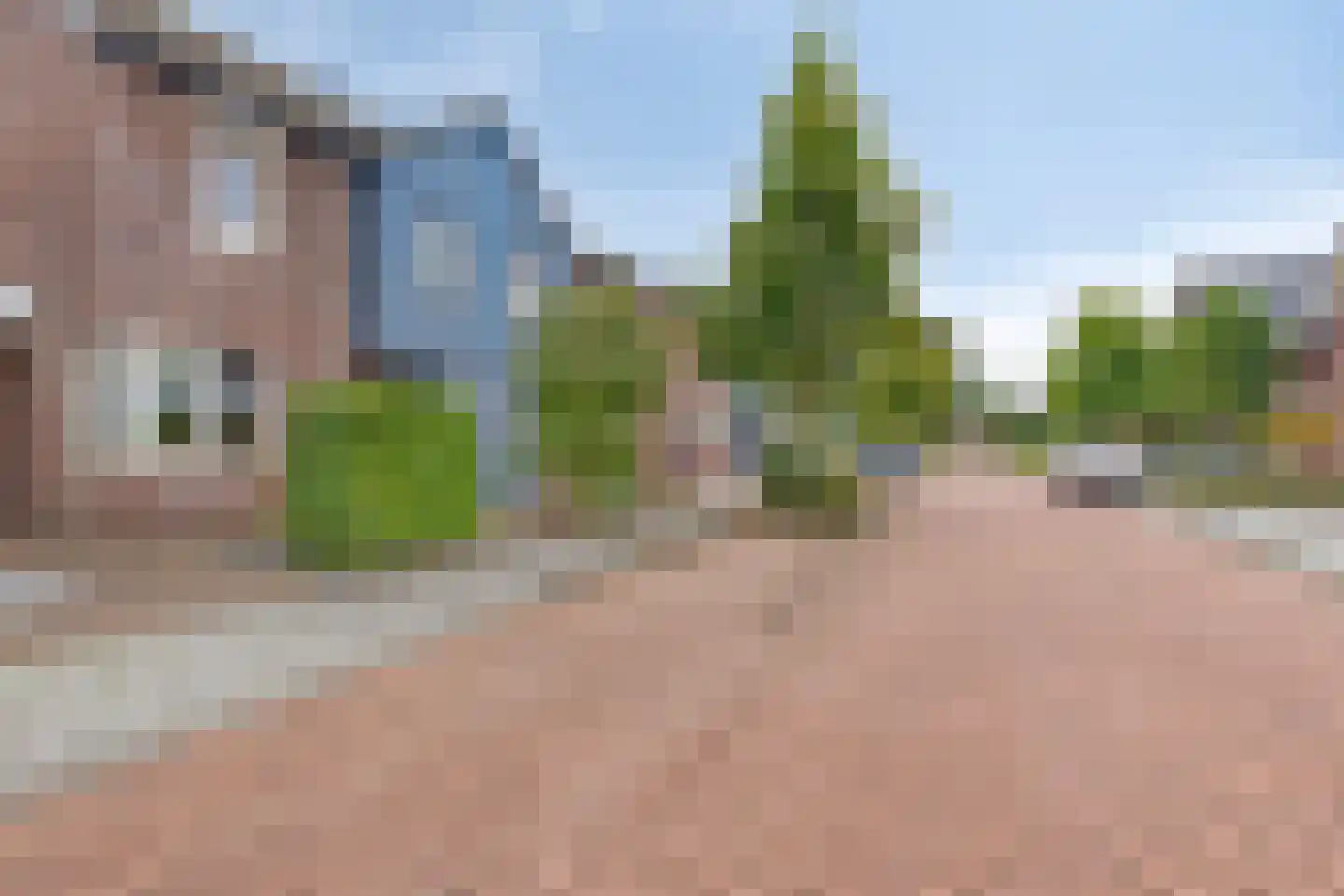 Paardebloem 20 Boekel thumbnail 32