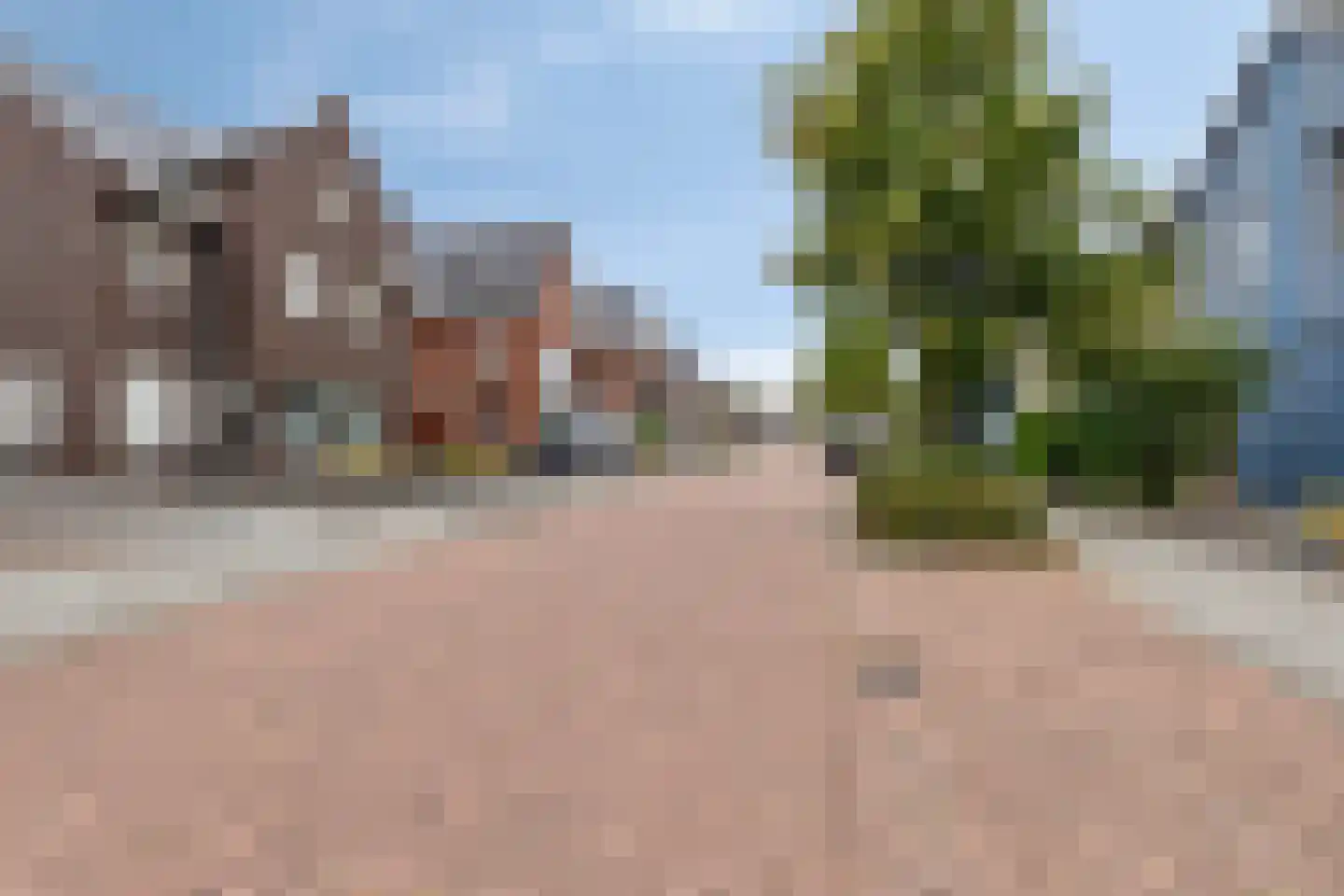 Paardebloem 20 Boekel thumbnail 33