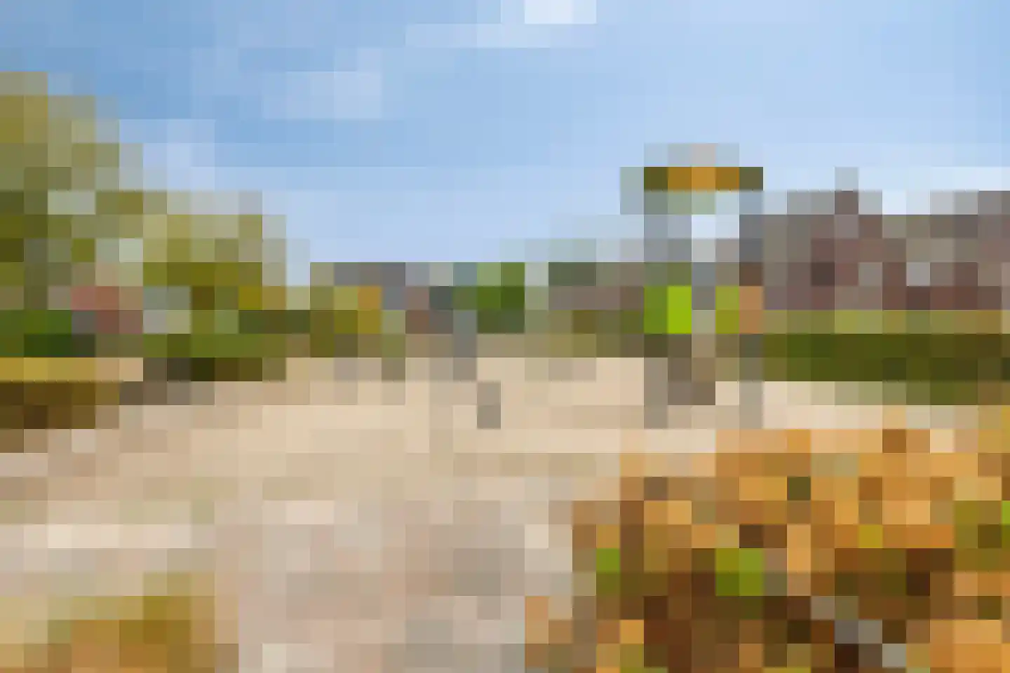Paardebloem 20 Boekel thumbnail 34