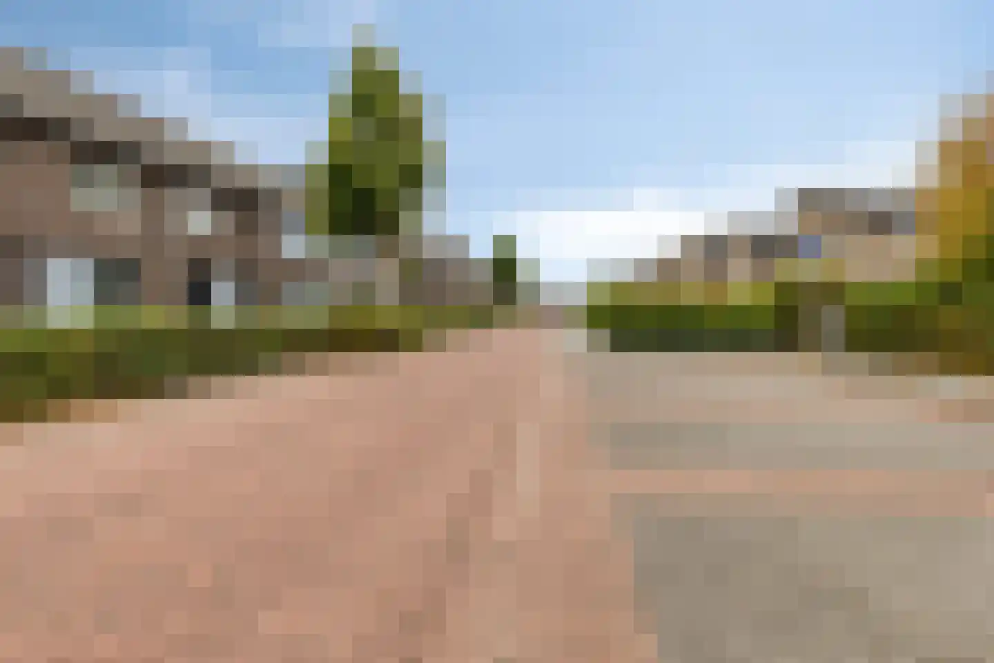 Paardebloem 20 Boekel thumbnail 35