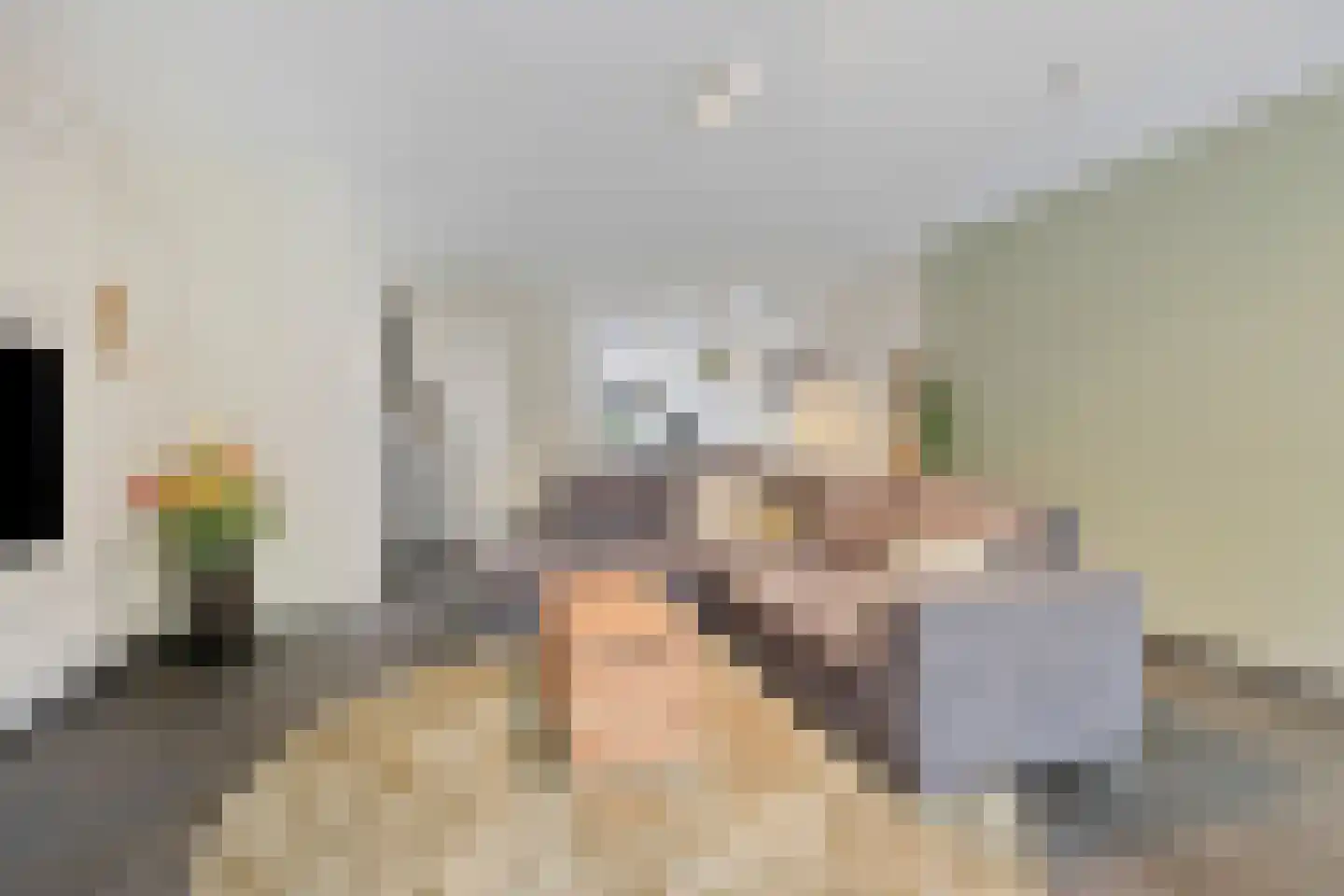 Paardebloem 20 Boekel thumbnail 4