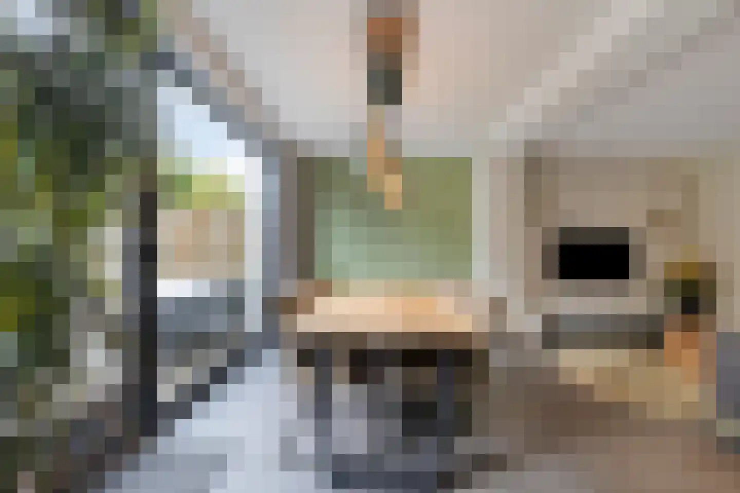 Paardebloem 20 Boekel thumbnail 5