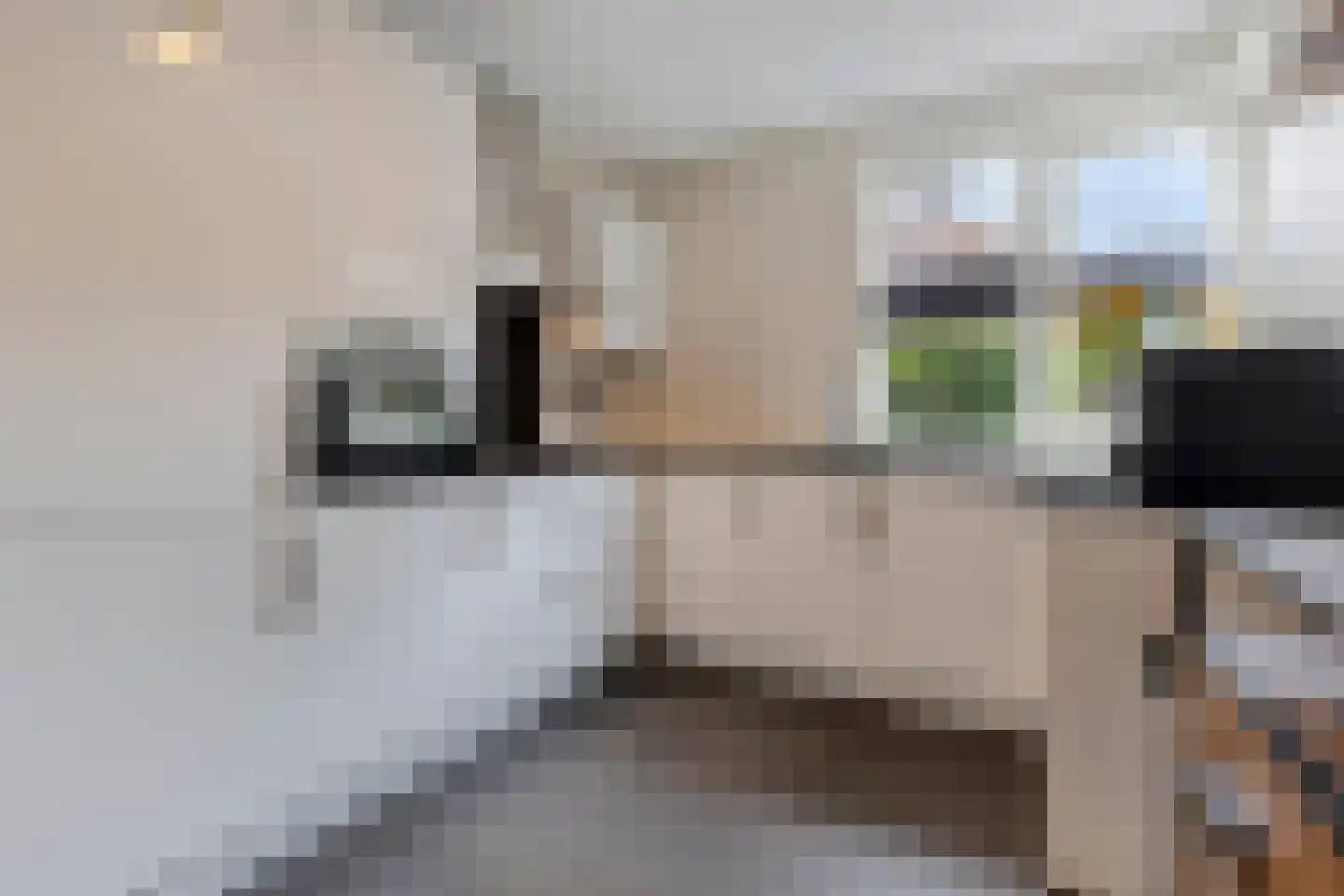 Paardebloem 20 Boekel thumbnail 7