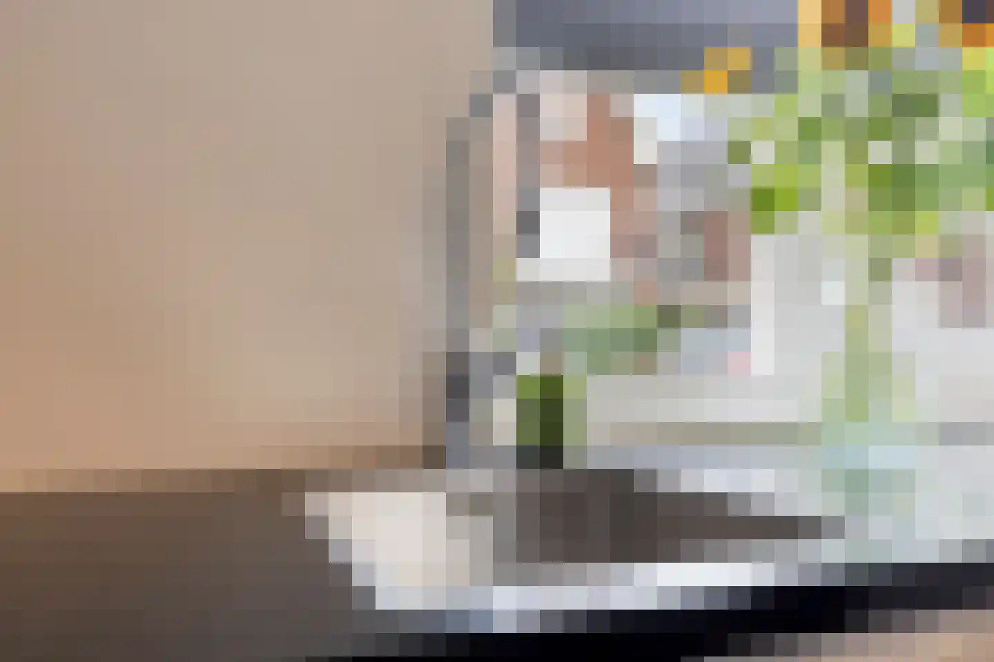 Paardebloem 20 Boekel thumbnail 8