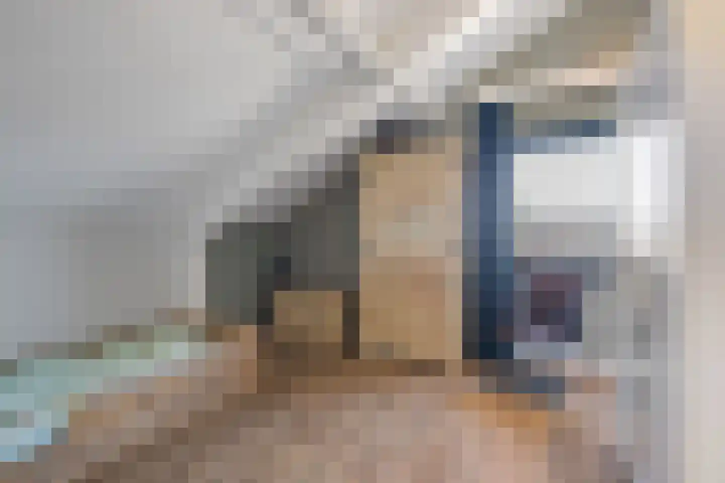 Paardebloem 21 Boekel thumbnail 27