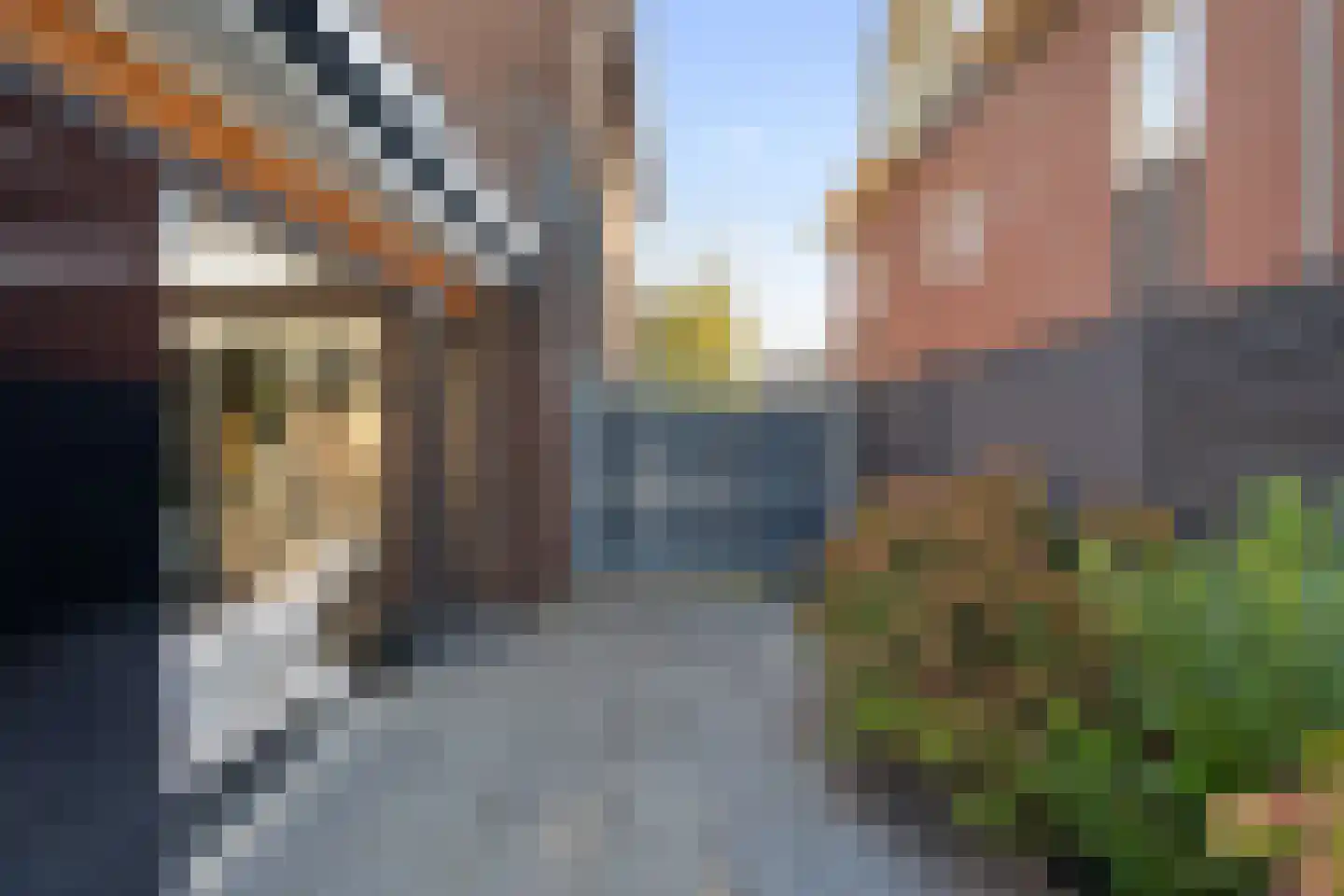 Paardebloem 21 Boekel thumbnail 32