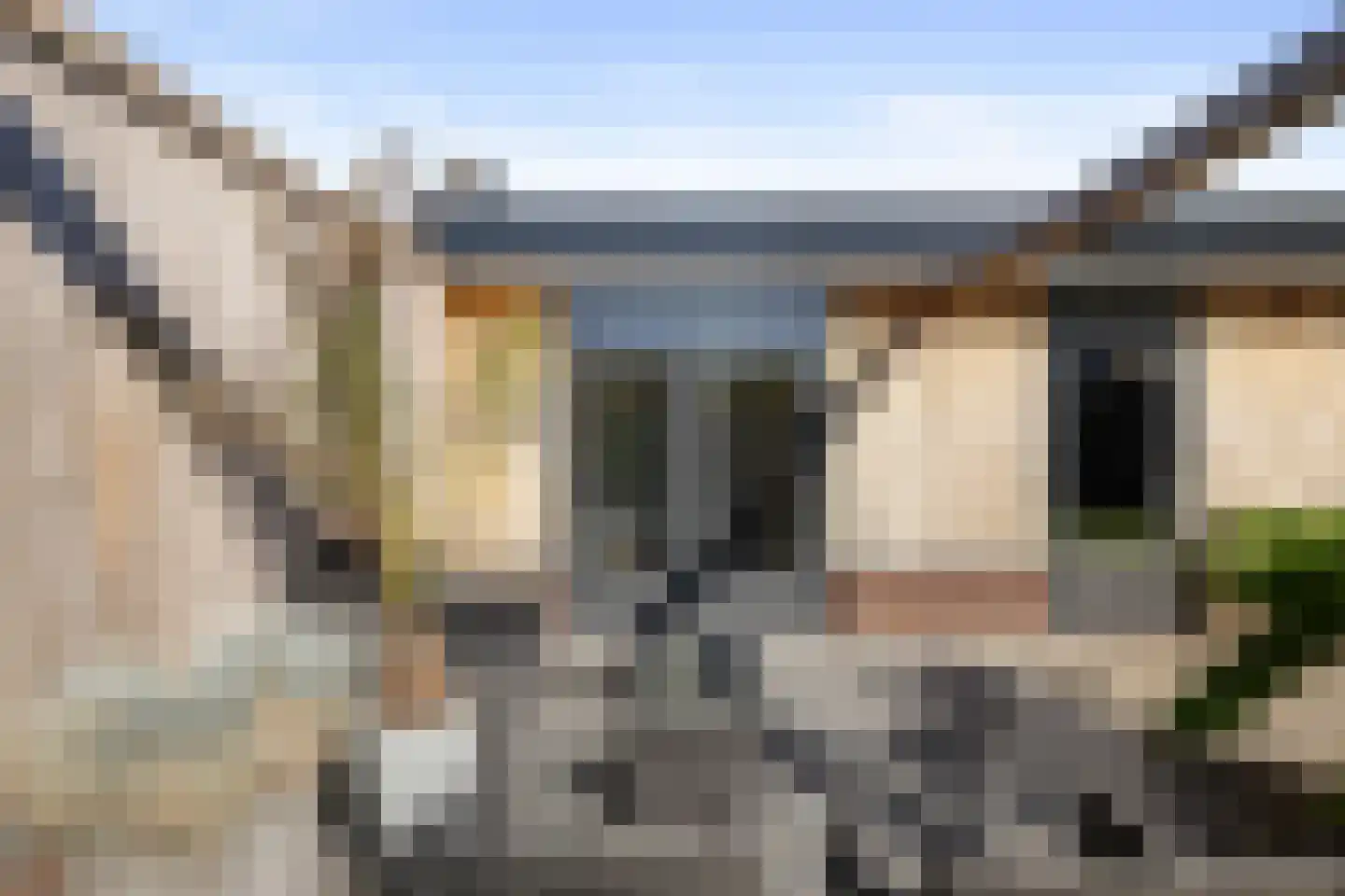 Paardebloem 21 Boekel thumbnail 35