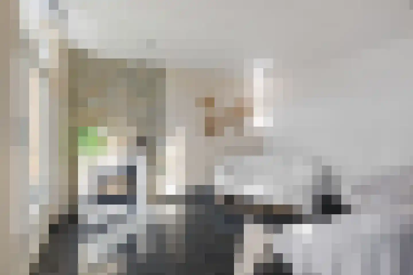 Paardebloem 21 Boekel thumbnail 36