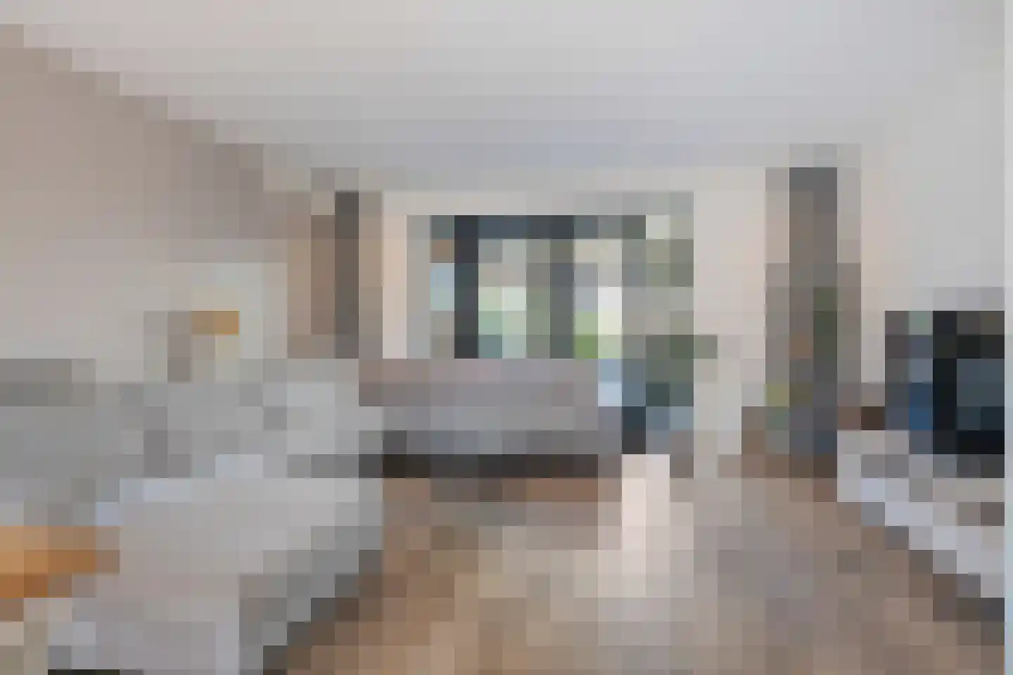 Paardebloem 21 Boekel thumbnail 4