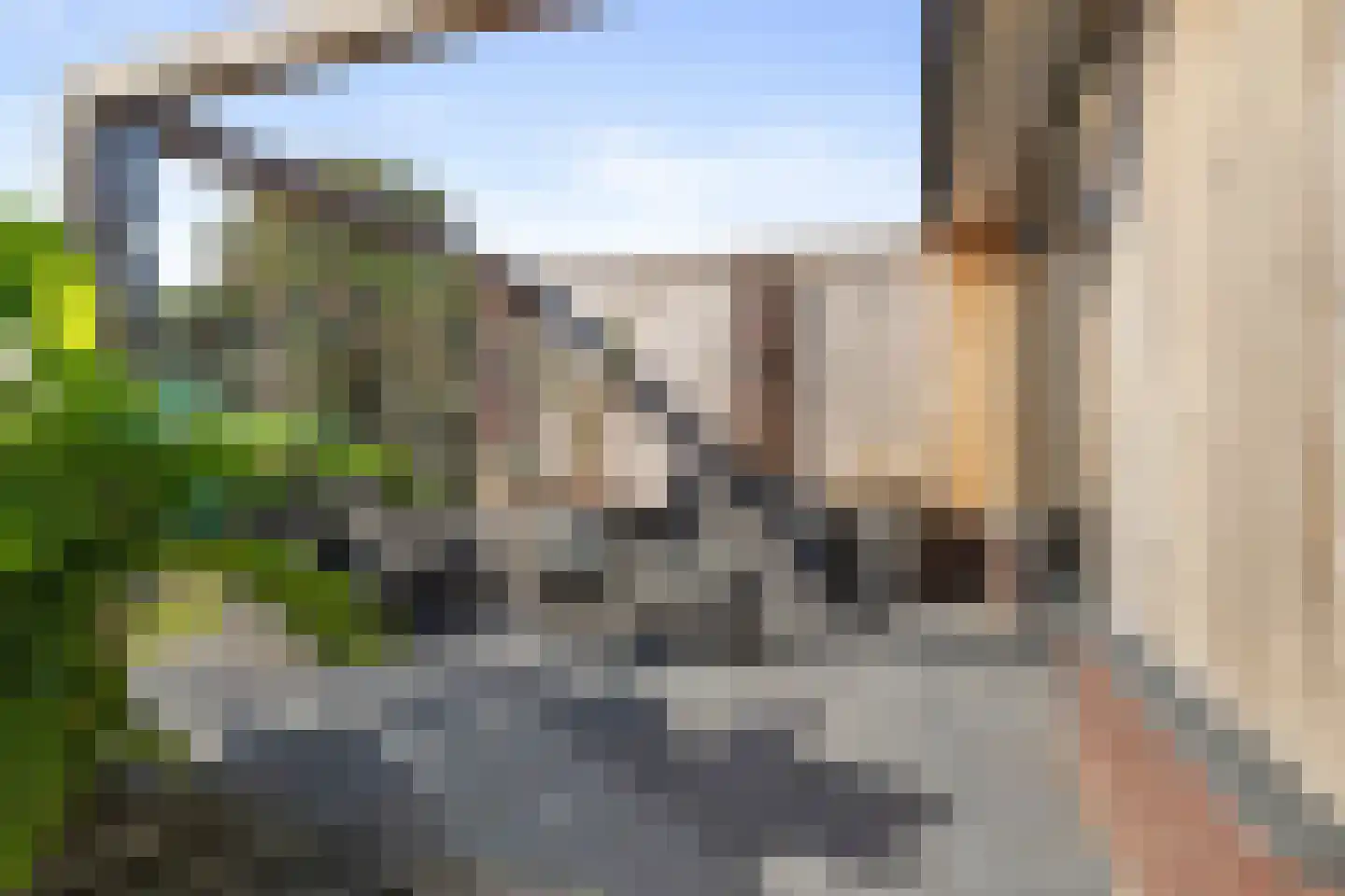 Paardebloem 21 Boekel thumbnail 41