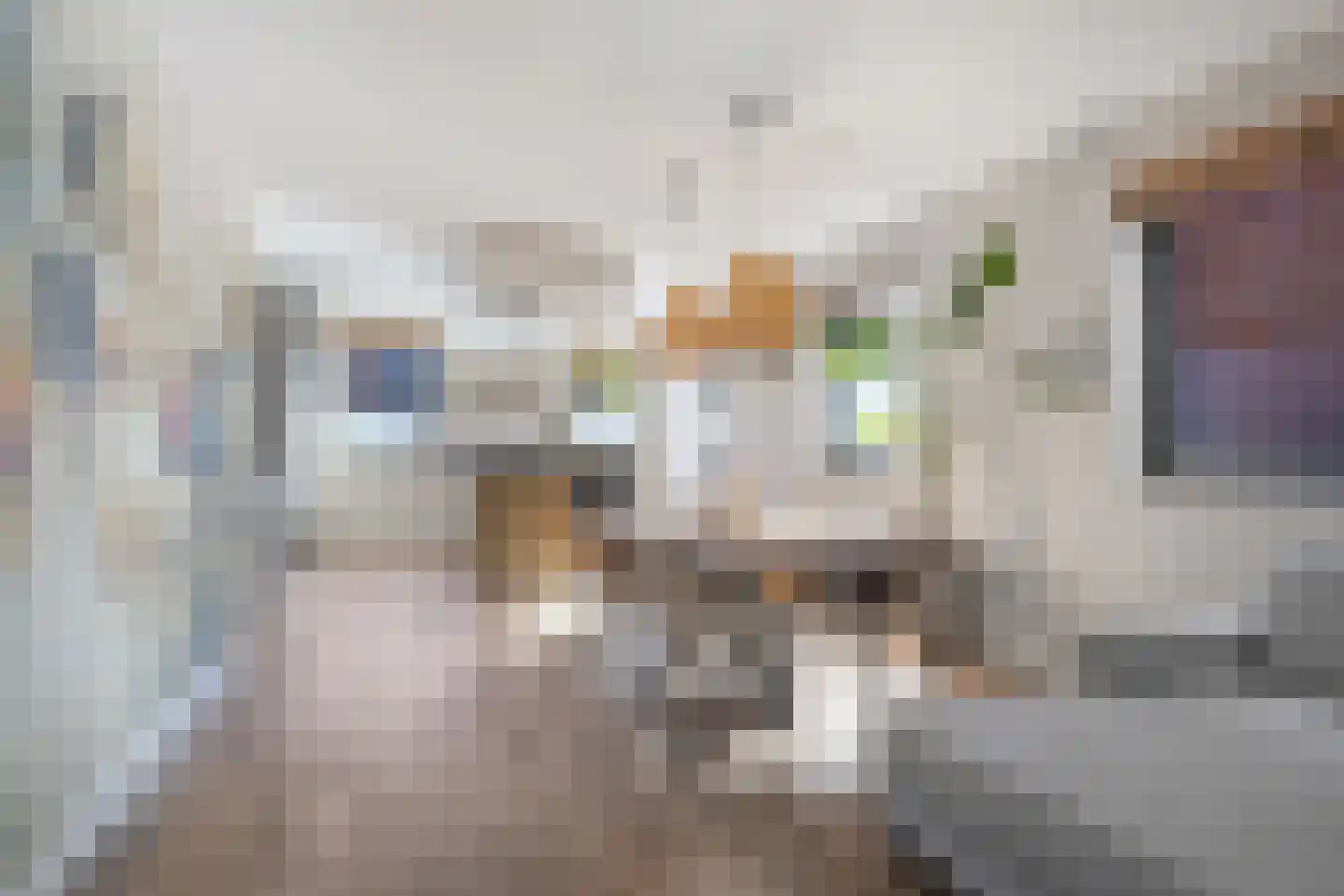 Paardebloem 21 Boekel thumbnail 6