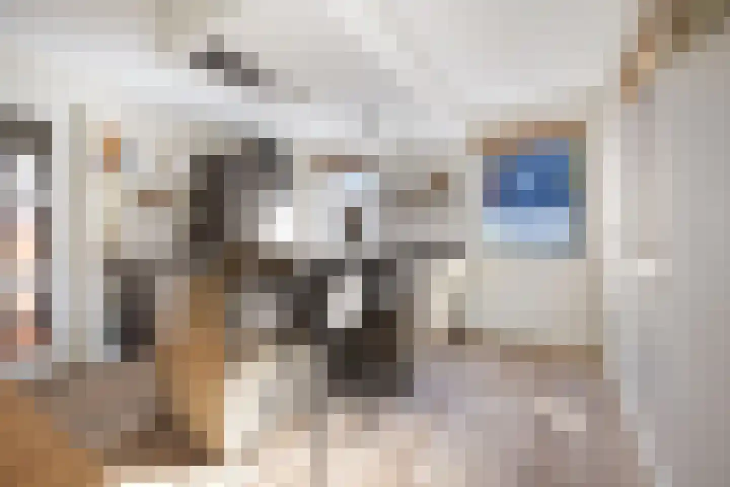 Paardebloem 21 Boekel thumbnail 8