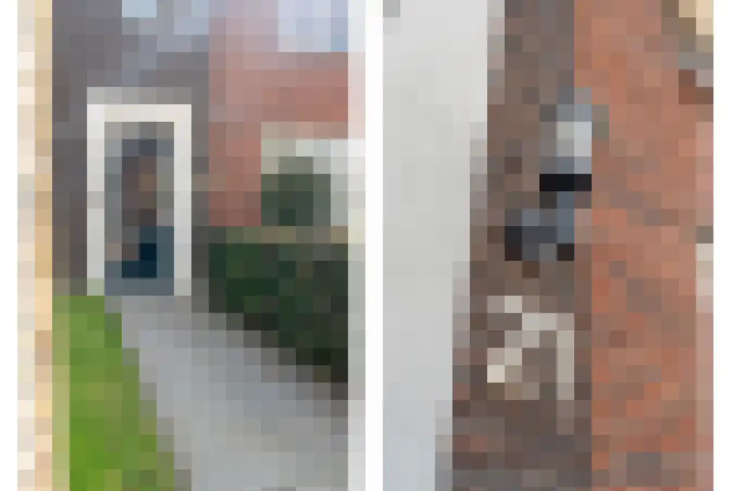 Paardebloem 21 Rijssen thumbnail 10